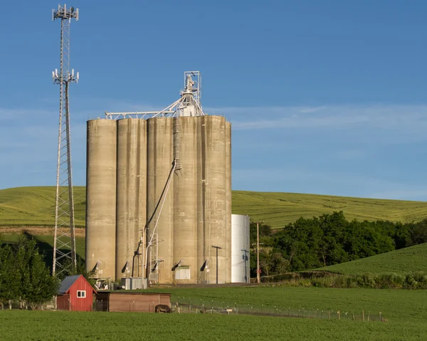 Бетонні зернові силоси з вежею мобільного телефону — стокове фото