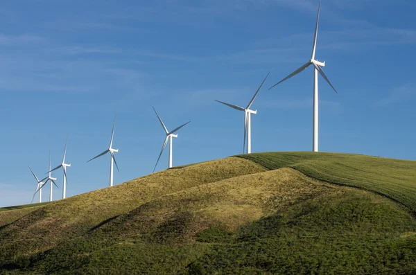 stock image Row of wind turbines on hill