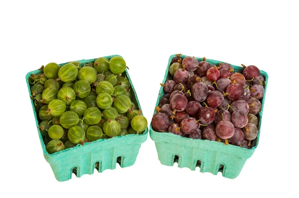 Red and green gooseberries — Stock Photo, Image