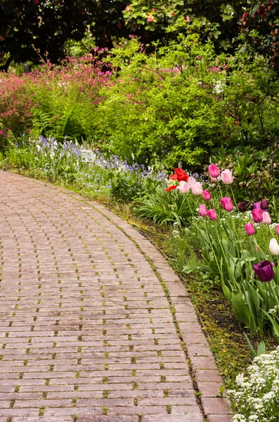 Taş döşeli yol veya yürüyüş ile Bahçe — Stok fotoğraf