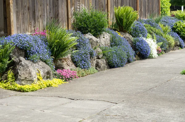 Urban garden planted along sidewalk — Stock Photo, Image