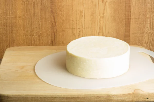 Круглый блок белого сыра чеддер — стоковое фото