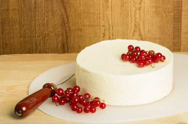 White cheddar cheese block with currants — Stock Photo, Image