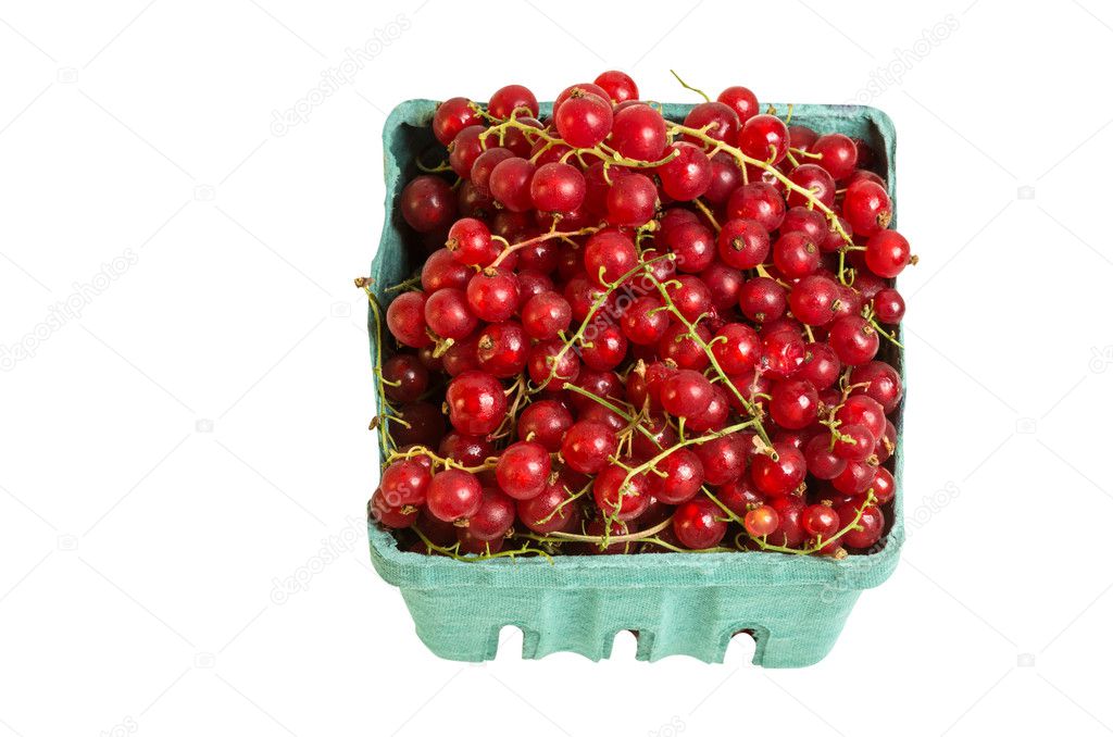 Pint box of red currants isolated on white