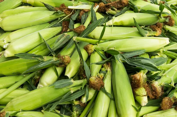 甜玉米在市场上的农民 — 图库照片