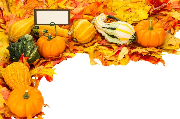 Herbstborte aus Blättern und Kürbissen mit Karte — Stockfoto