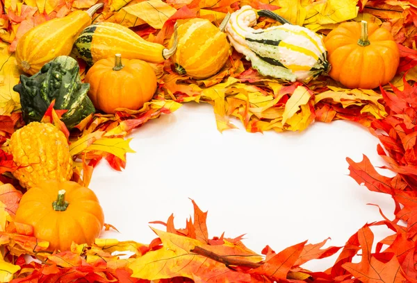 Осенняя граница разноцветных листьев — стоковое фото