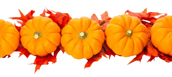 Fall border or element with pumpkins — Stock Photo, Image