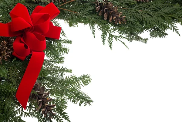 Bordo natalizio con fiocco rosso e rami di pino vivo — Foto Stock