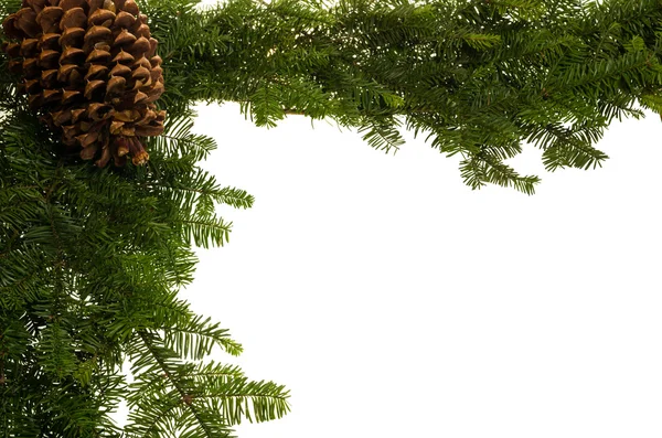 大型のマツ円錐形とのクリスマスの国境 — ストック写真