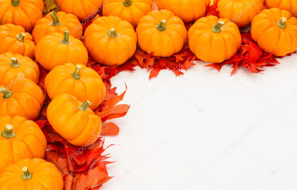 Fall border of small pumpkins