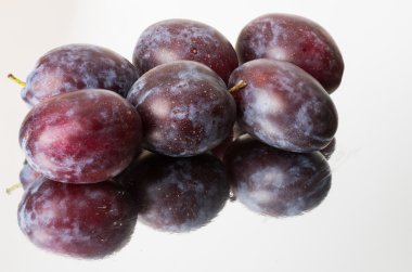 Blue plums or prunes clipart