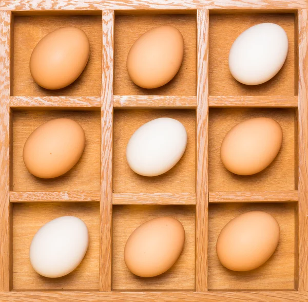 Yumurta gölge kutusunda çapraz — Stok fotoğraf