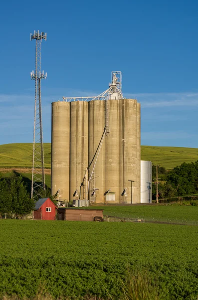 Клітинна вежа і зерновий силос з зеленим полем — стокове фото