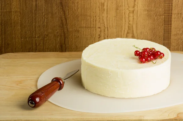Round of fresh cheese and currants — Stock Photo, Image