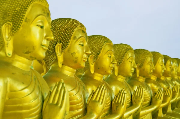 Группа золотого Будды — стоковое фото