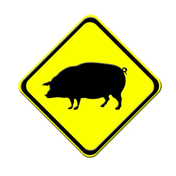 Porco em sinal de aviso de trânsito — Fotografia de Stock