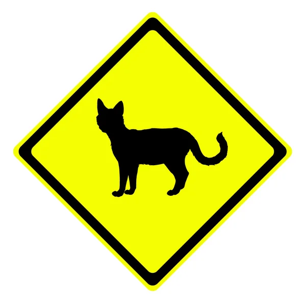 Cat in warning traffic sign — Stock Photo, Image