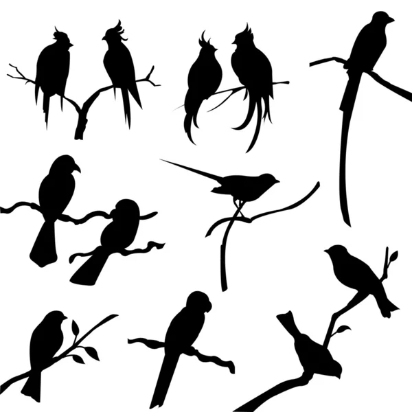 Bird silhouettes — Stock Vector