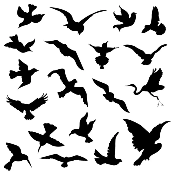 Σιλουέτες πουλί — Διανυσματικό Αρχείο