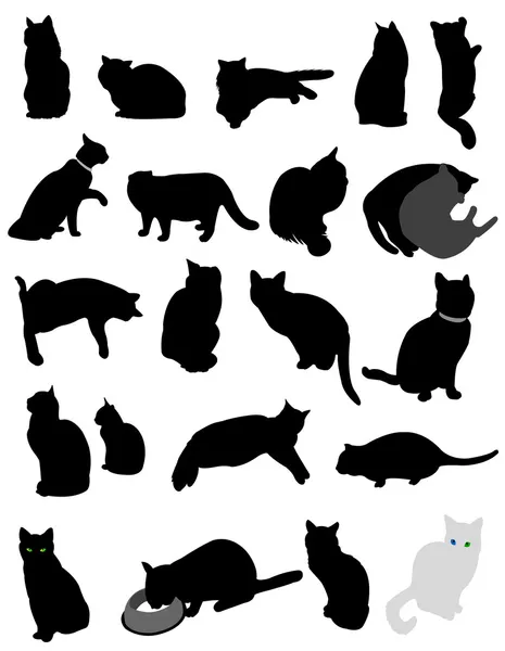 Silhouette cats — Stock Vector