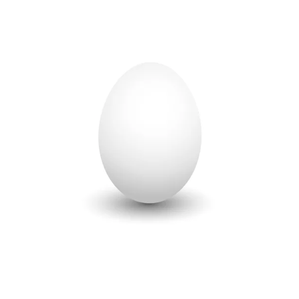 Bir yumurta. — Stok Vektör