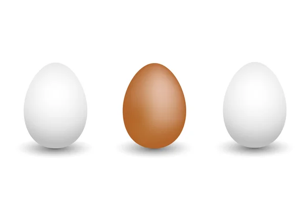 Conjunto de huevos — Archivo Imágenes Vectoriales