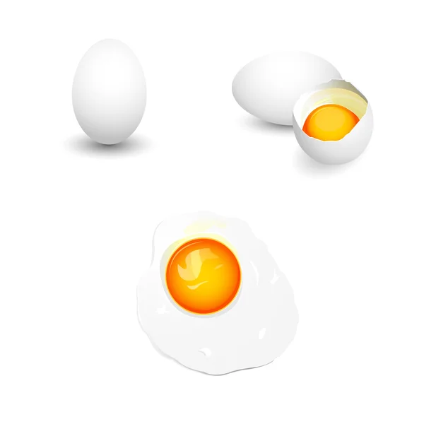 Conjunto de ovos — Vetor de Stock