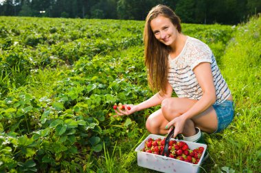 Berry checking clipart