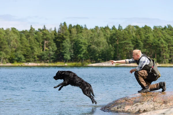 Dog training — Stock Photo, Image