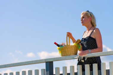 Woman and picnic crib clipart