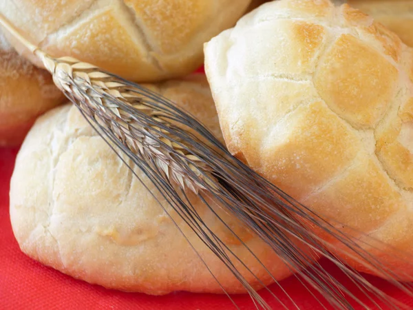 新鲜烘焙的面包 — 图库照片