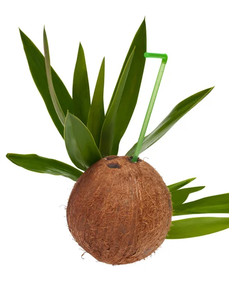 Открытый кокос — стоковое фото