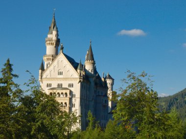 neuschhwanstein-fussen - Almanya