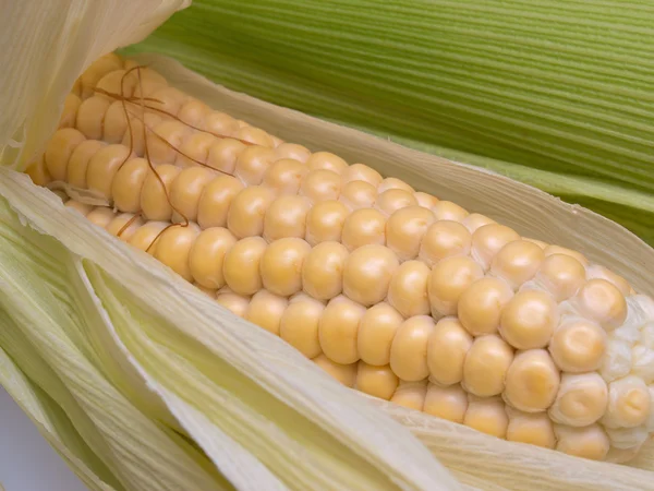 Fresh natural corn — Stock Photo, Image