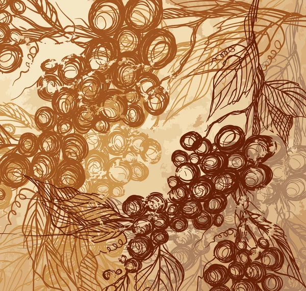 Bouquet de raisins. — Image vectorielle