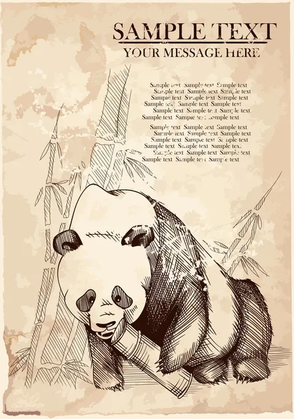 Panda e bambu, Vintage . — Vetor de Stock