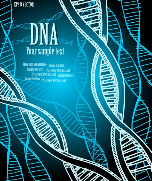 DNA strands. — Stock Vector