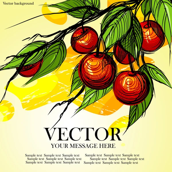 Beautiful delicious cherries, bright berries. — Stock Vector