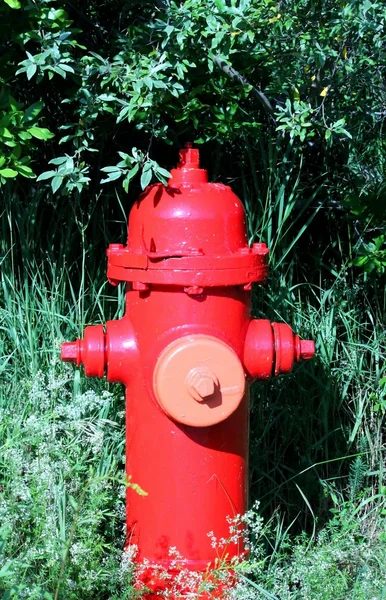 stock image Fire hydrant