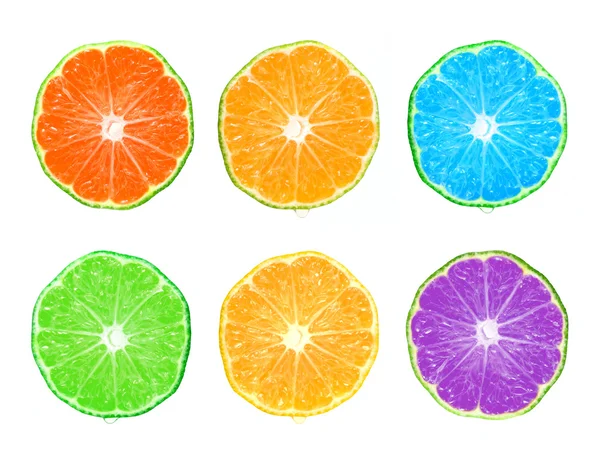 Kleur citrus segment — Stockfoto