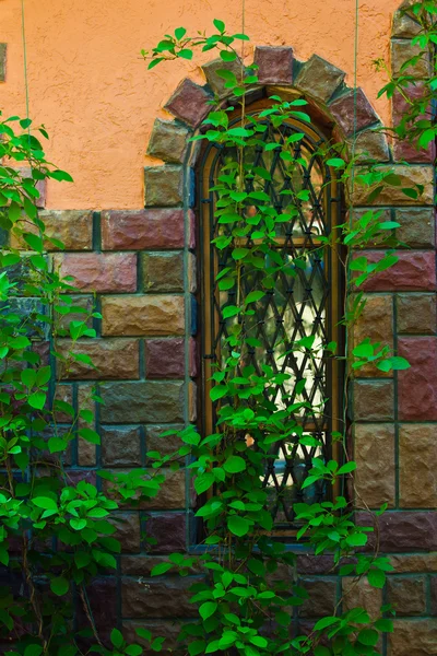 Декоративное окно в зеленой листве — стоковое фото