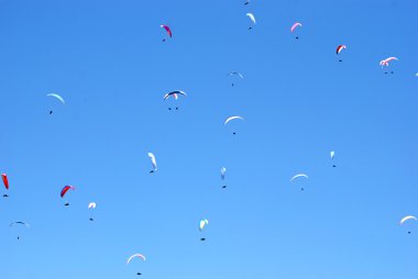 Gliders of the background of blue sky clipart