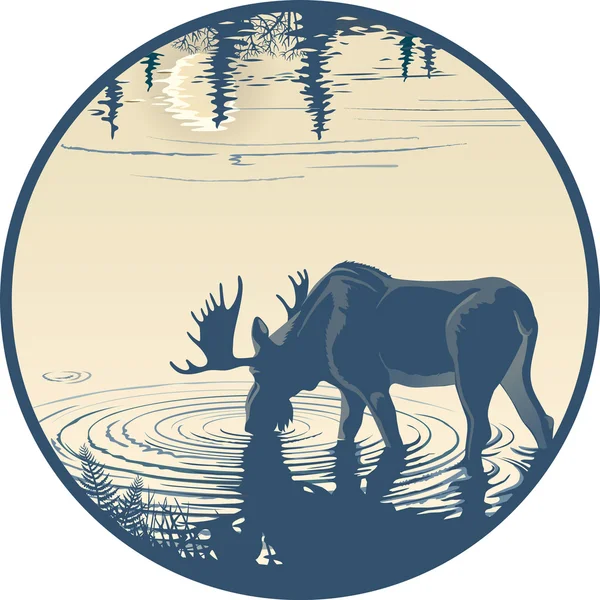 Elk in the drinking water — Stock Vector