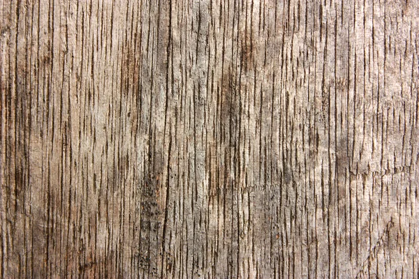木材纹理-垂直线条 — 图库照片