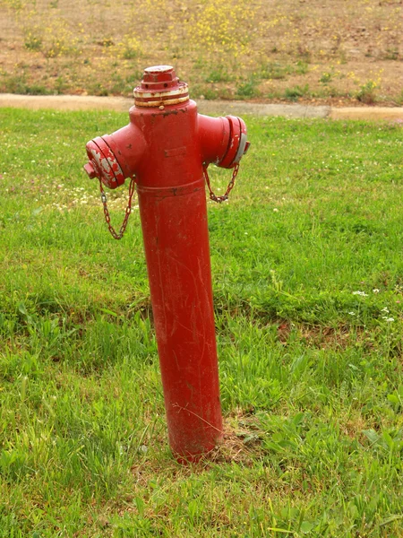 stock image Red fire hydrant on green grass background