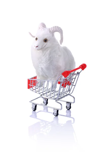 Modelo ram no carrinho de compras isolado no branco — Fotografia de Stock