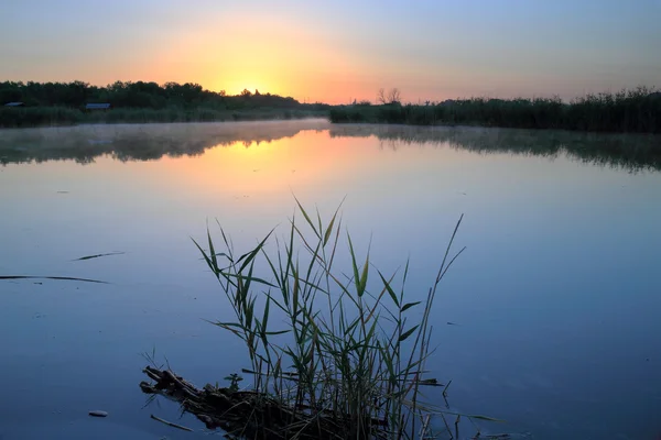 Sabah gölet. — Stok fotoğraf