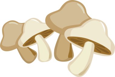 Mushroom clipart