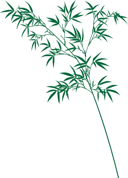 Bambu. — Stok Vektör